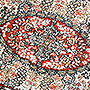 Kínai selyem szőnyeg - KR 1789